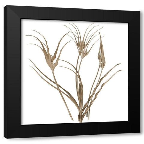 Earth Balance 1 Black Modern Wood Framed Art Print with Double Matting by Lewis, Sheldon