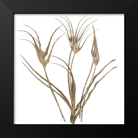 Earth Balance 1 Black Modern Wood Framed Art Print by Lewis, Sheldon