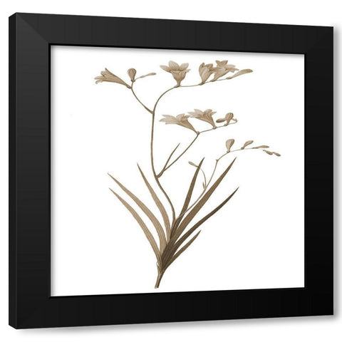 Earth Balance 4 Black Modern Wood Framed Art Print with Double Matting by Lewis, Sheldon