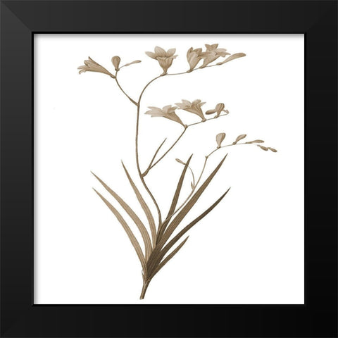 Earth Balance 4 Black Modern Wood Framed Art Print by Lewis, Sheldon