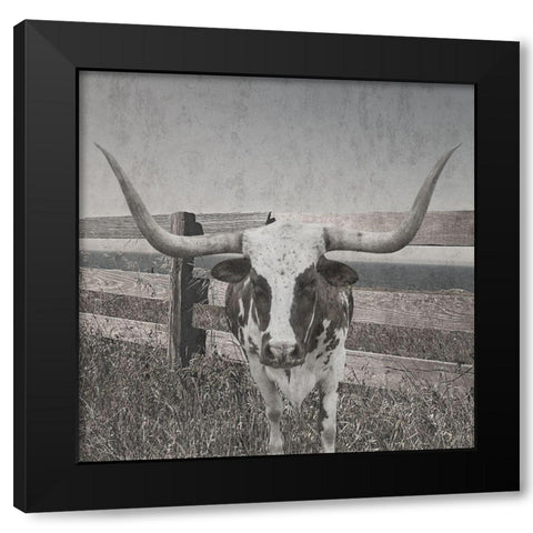 Barn Life Black Modern Wood Framed Art Print with Double Matting by Lewis, Sheldon