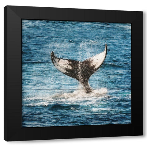 Tails of The Whale Black Modern Wood Framed Art Print with Double Matting by Lewis, Sheldon