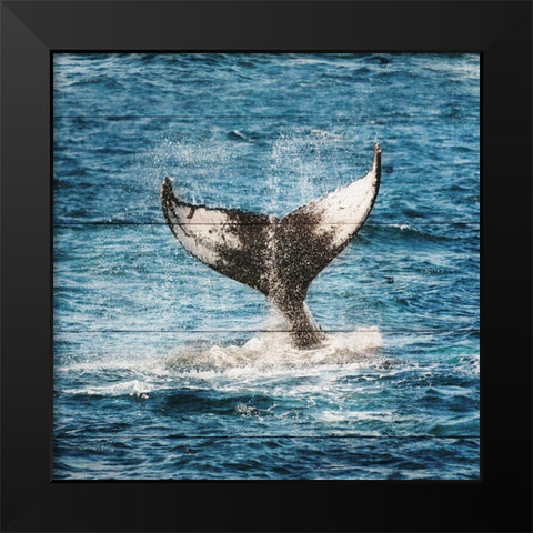 Tails of The Whale Black Modern Wood Framed Art Print by Lewis, Sheldon