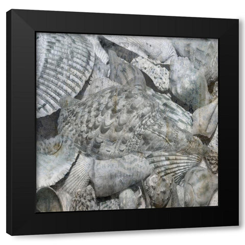 Shelly Coast Black Modern Wood Framed Art Print with Double Matting by Lewis, Sheldon