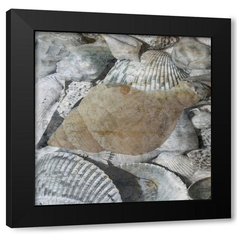 Shelly Coast 2 Black Modern Wood Framed Art Print with Double Matting by Lewis, Sheldon