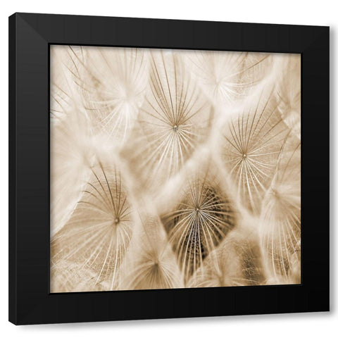 Twister 2 Black Modern Wood Framed Art Print by Lewis, Sheldon