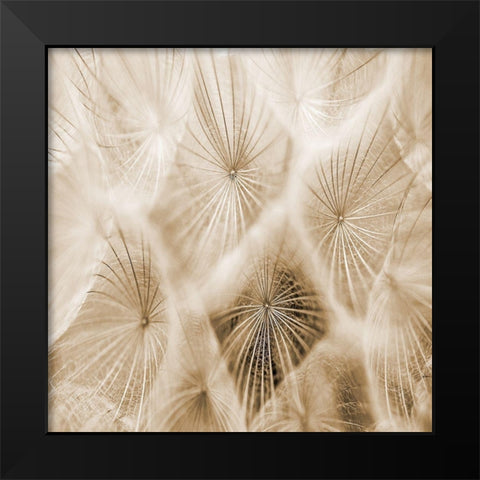 Twister 2 Black Modern Wood Framed Art Print by Lewis, Sheldon