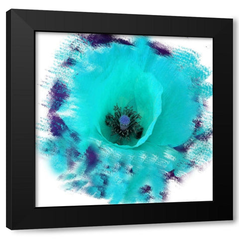 Rose Garden Black Modern Wood Framed Art Print with Double Matting by Lewis, Sheldon