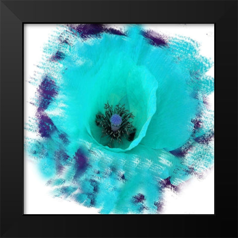 Rose Garden Black Modern Wood Framed Art Print by Lewis, Sheldon