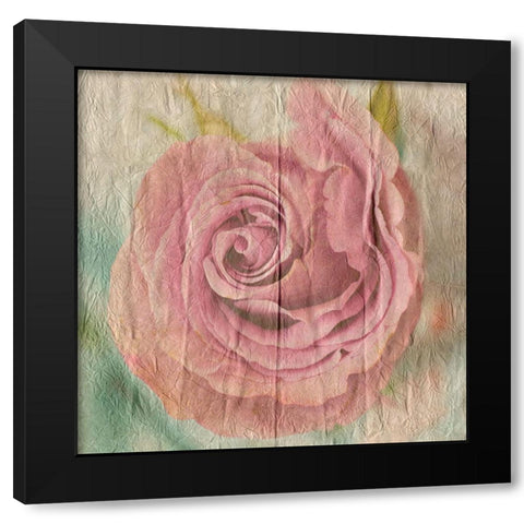 Vintage Rose Black Modern Wood Framed Art Print with Double Matting by Lewis, Sheldon