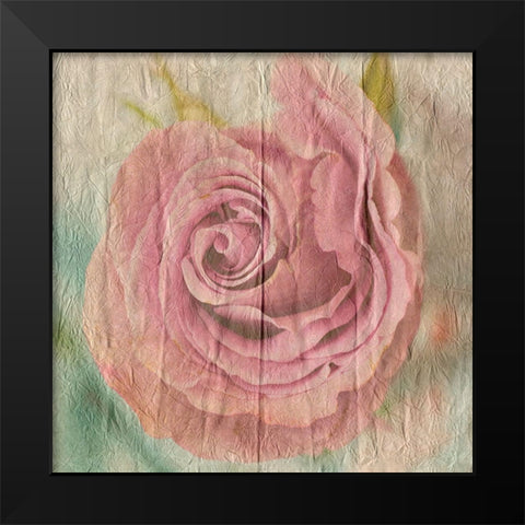 Vintage Rose Black Modern Wood Framed Art Print by Lewis, Sheldon