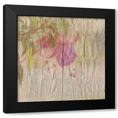Vintage Bloom 1 Black Modern Wood Framed Art Print with Double Matting by Lewis, Sheldon