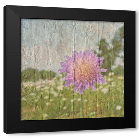 Vintage Bloom 2 Black Modern Wood Framed Art Print by Lewis, Sheldon