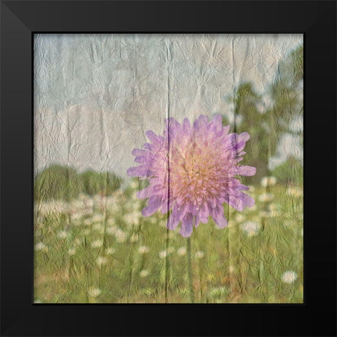 Vintage Bloom 2 Black Modern Wood Framed Art Print by Lewis, Sheldon