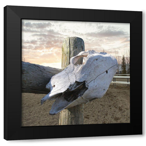 Rancher Black Modern Wood Framed Art Print with Double Matting by Lewis, Sheldon