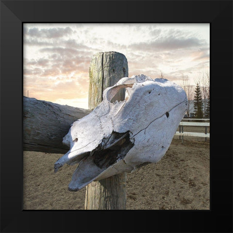Rancher Black Modern Wood Framed Art Print by Lewis, Sheldon