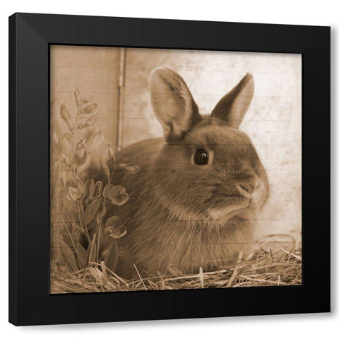Robby Black Modern Wood Framed Art Print with Double Matting by Lewis, Sheldon