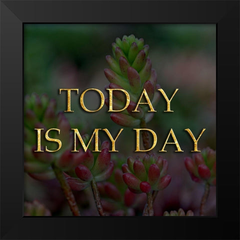 My Day Black Modern Wood Framed Art Print by Lewis, Sheldon