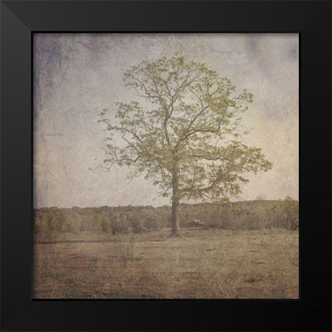 Open Field Black Modern Wood Framed Art Print by Lewis, Sheldon