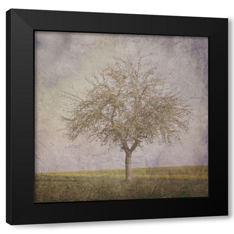 Open Field 2 Black Modern Wood Framed Art Print by Lewis, Sheldon