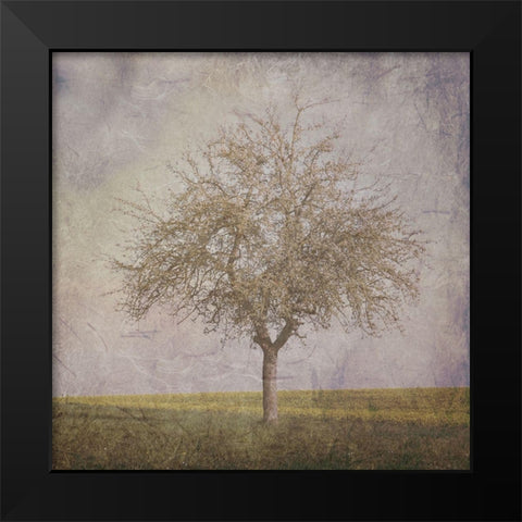 Open Field 2 Black Modern Wood Framed Art Print by Lewis, Sheldon