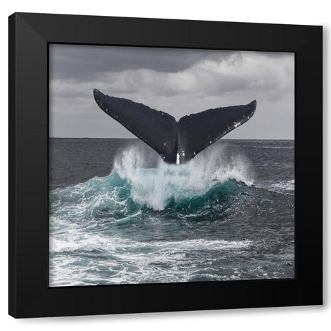 St Vincent Coast Black Modern Wood Framed Art Print with Double Matting by Lewis, Sheldon