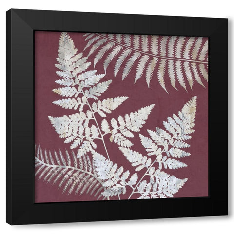 Fern Time 2 Black Modern Wood Framed Art Print by Lewis, Sheldon