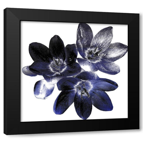 Indi Potion #1 Black Modern Wood Framed Art Print by Lewis, Sheldon