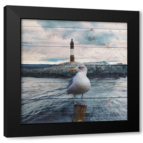 Evening Bay Watch Black Modern Wood Framed Art Print with Double Matting by Lewis, Sheldon