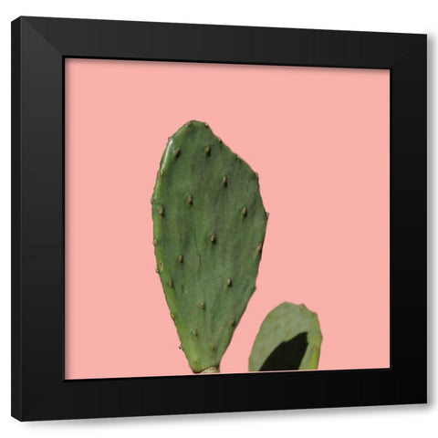 Cochol Black Modern Wood Framed Art Print by Lewis, Sheldon