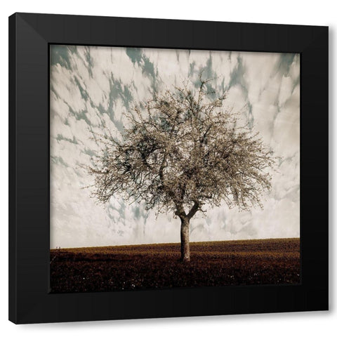 Evening Calm Black Modern Wood Framed Art Print by Lewis, Sheldon
