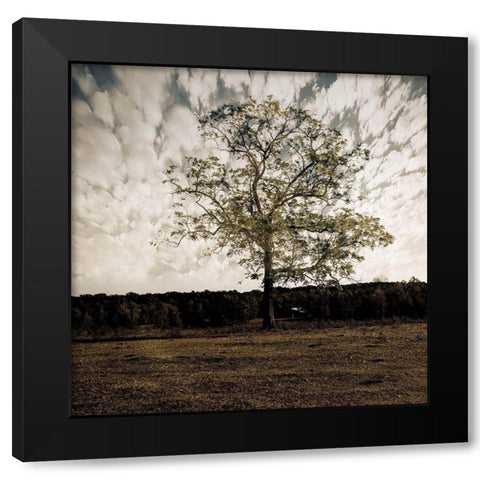 Evening Calm 2 Black Modern Wood Framed Art Print by Lewis, Sheldon