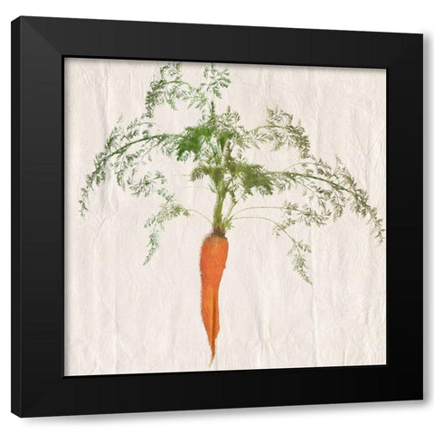Carrot Black Modern Wood Framed Art Print by Lewis, Sheldon