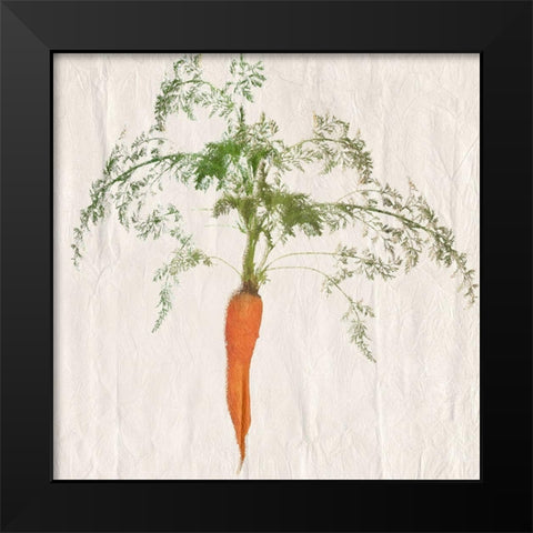 Carrot Black Modern Wood Framed Art Print by Lewis, Sheldon