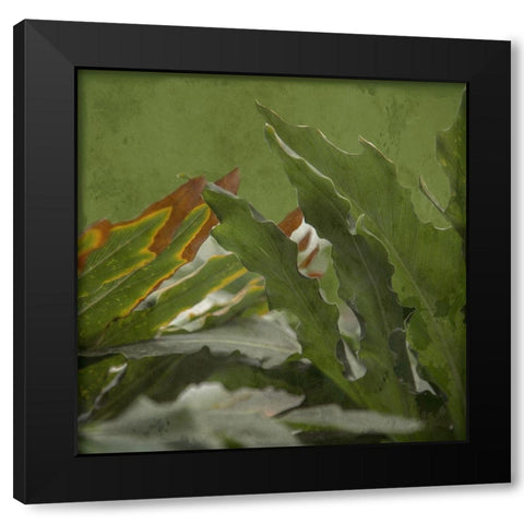 Botanical Garden Black Modern Wood Framed Art Print by Lewis, Sheldon