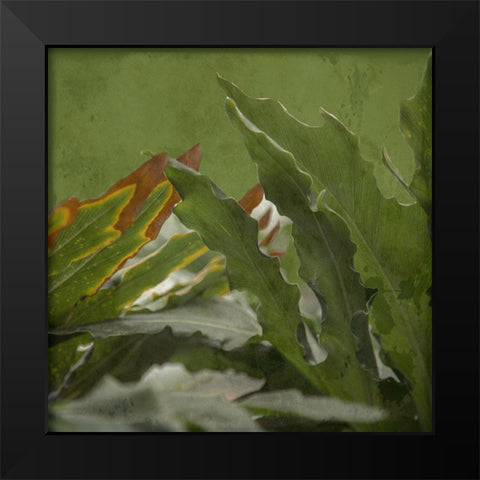 Botanical Garden Black Modern Wood Framed Art Print by Lewis, Sheldon