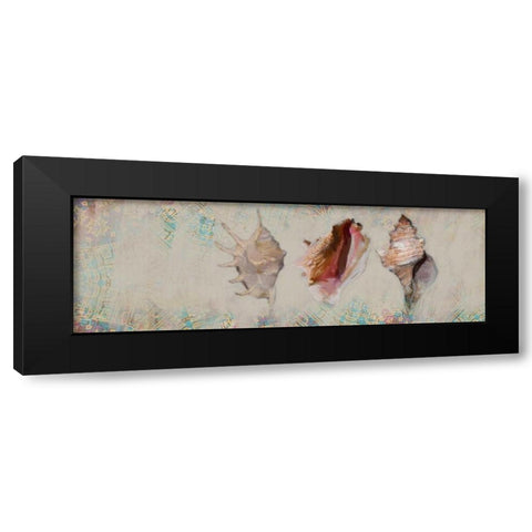 Shells Black Modern Wood Framed Art Print by Butcher, Sarah