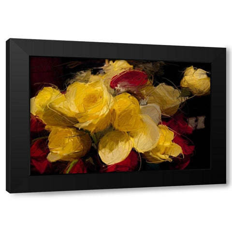 Roses 4 Black Modern Wood Framed Art Print with Double Matting by Butcher, Sarah