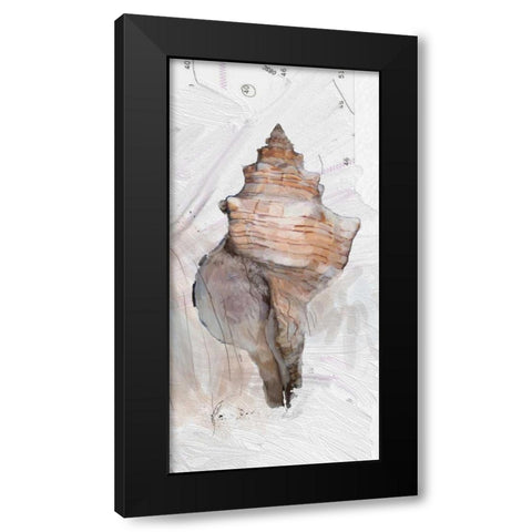 Shells Around The World 1 Black Modern Wood Framed Art Print by Butcher, Sarah