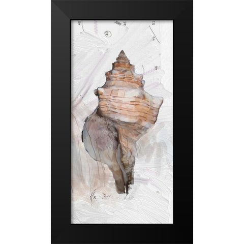 Shells Around The World 1 Black Modern Wood Framed Art Print by Butcher, Sarah