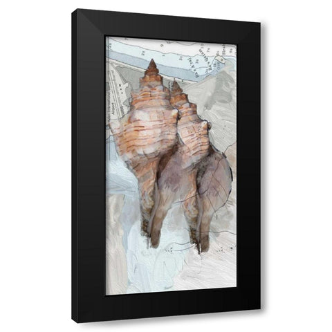 Shells Around The World 2 Black Modern Wood Framed Art Print by Butcher, Sarah