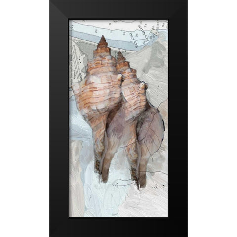 Shells Around The World 2 Black Modern Wood Framed Art Print by Butcher, Sarah