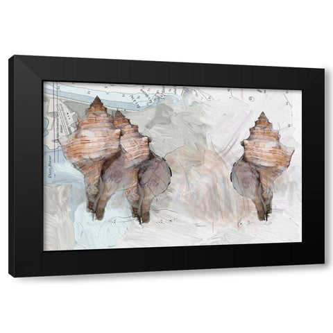 Maps And Shells Black Modern Wood Framed Art Print with Double Matting by Butcher, Sarah