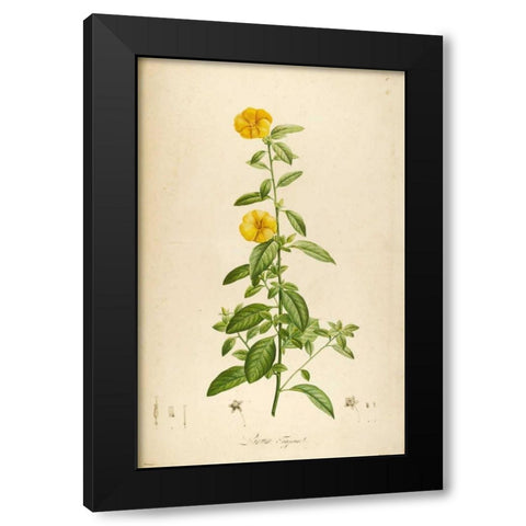 Vintage Botanical 202 Black Modern Wood Framed Art Print by Carlson, Tina