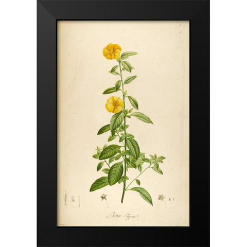 Vintage Botanical 202 Black Modern Wood Framed Art Print by Carlson, Tina