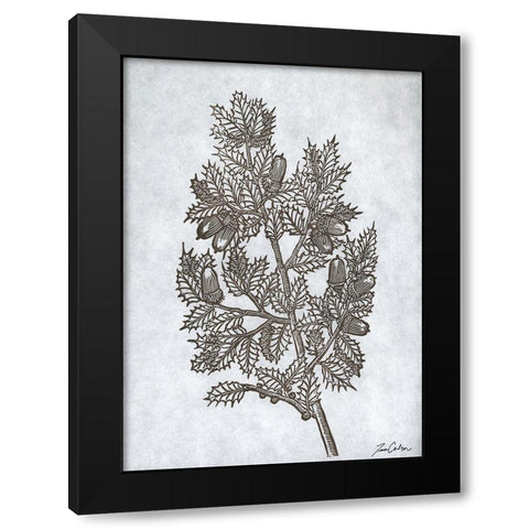 Oak Tree 3 Black Modern Wood Framed Art Print by Carlson, Tina
