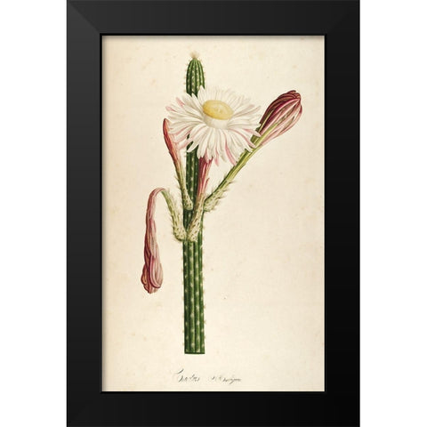 Cactus Ambiguus Black Modern Wood Framed Art Print by Carlson, Tina