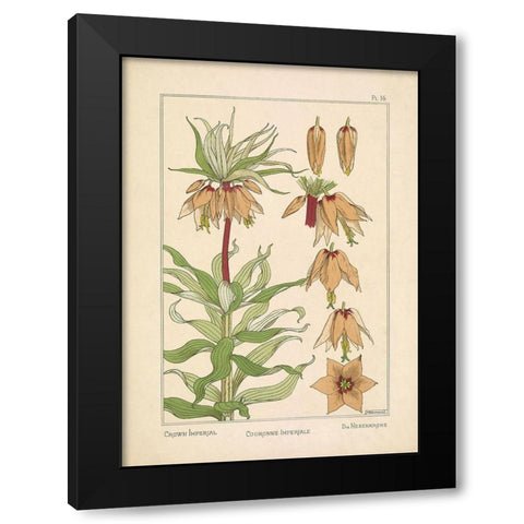 Crown Imperial Black Modern Wood Framed Art Print with Double Matting by Carlson, Tina