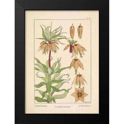 Crown Imperial Black Modern Wood Framed Art Print by Carlson, Tina
