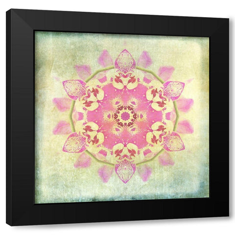 Orchid Circle 2 Black Modern Wood Framed Art Print with Double Matting by Carlson, Tina